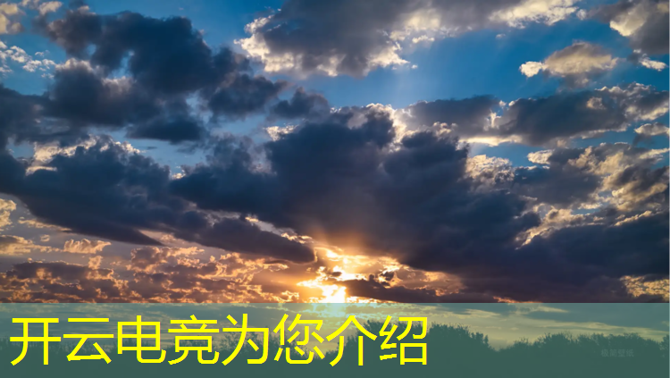 开云电竞为您介绍：王者荣耀职业电竞赛事