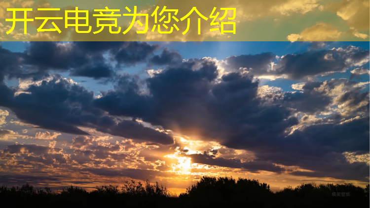 开云电竞为您介绍：山东职业技术学院电竞专业