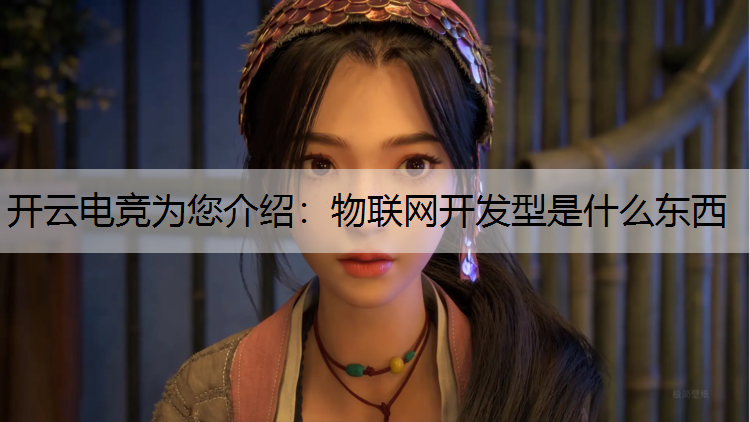 物联网开发型是什么东西