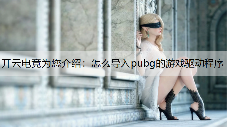 怎么导入pubg的游戏驱动程序