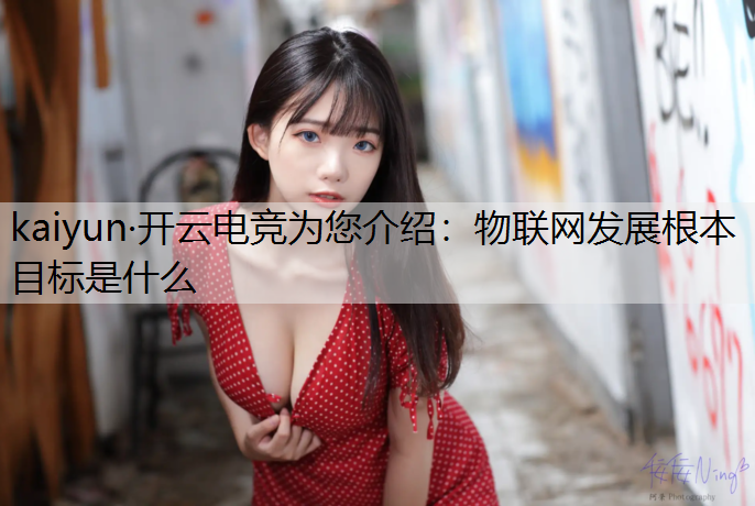 物联网发展根本目标是什么