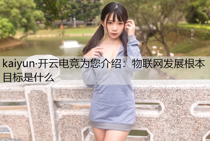 物联网发展根本目标是什么