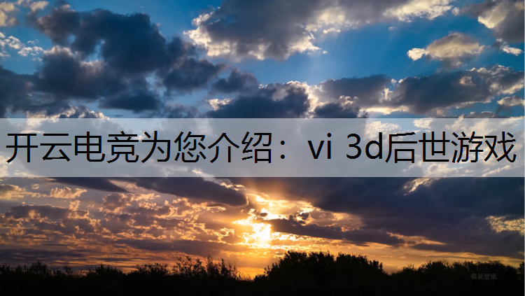 vi 3d后世游戏